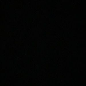 Meet your Posher, Ella